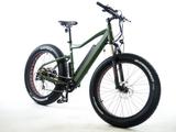 Best Electric Bike For Hunting