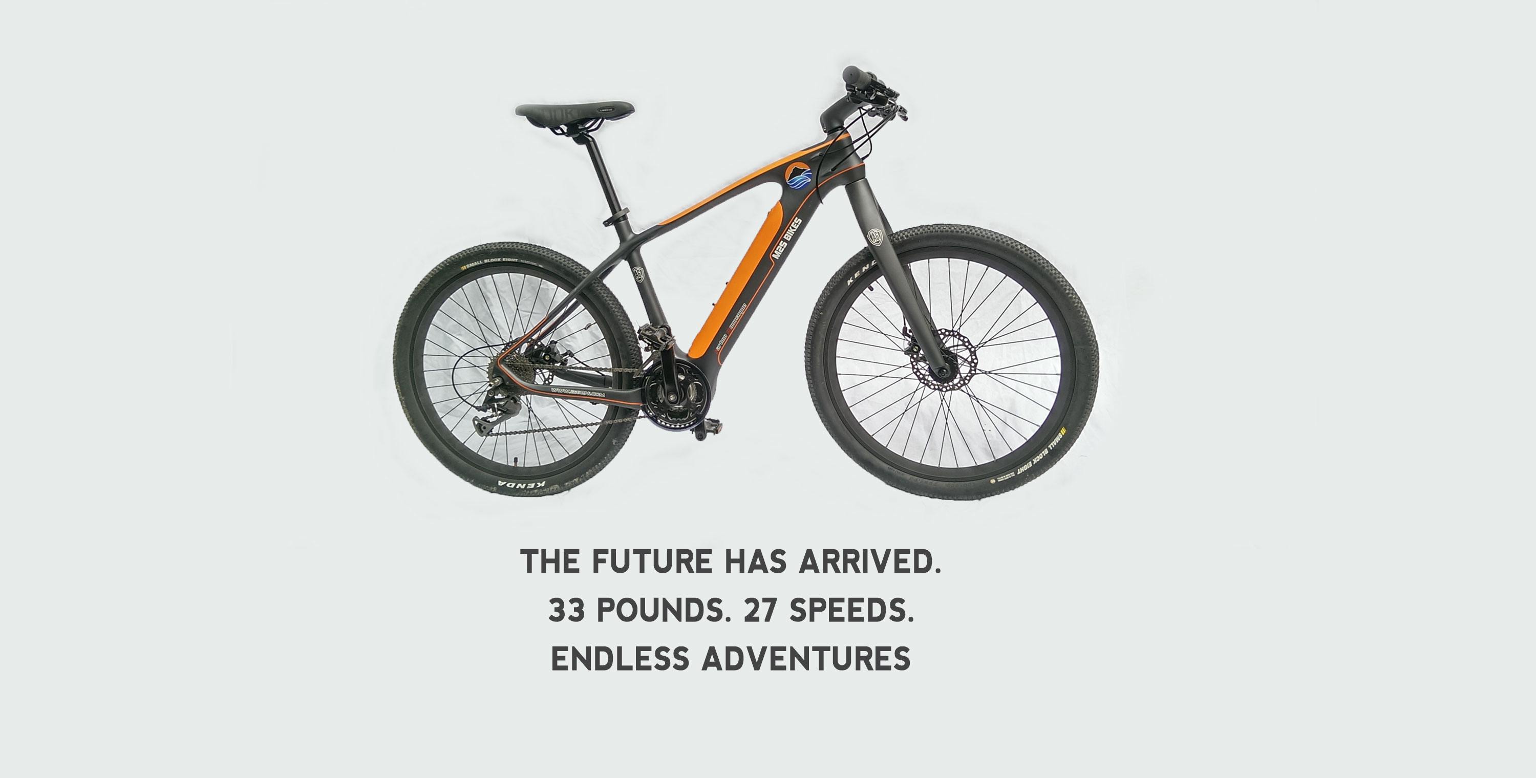 Carbon Fiber Electric Bike WIth Mid Drive Motor
